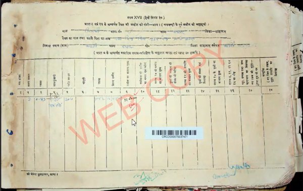 Step 8: Digital Bihar Chakbandi Khatiyan document displayed online with khata and khesra details