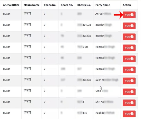 Step 7: Finding raiyat name in search results and clicking view icon to check land record