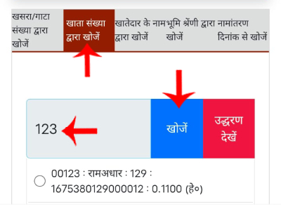 Step 3: Enter Khata Number to find new land records on UP Bhulekh portal