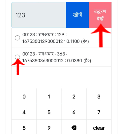 Step 4: Verification of owner name and plot details before viewing digital khatauni