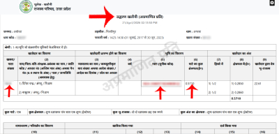 Step 5: Official UP Digital Khatauni showing new Gata Number and area after consolidation
